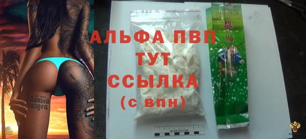 стаф Карпинск