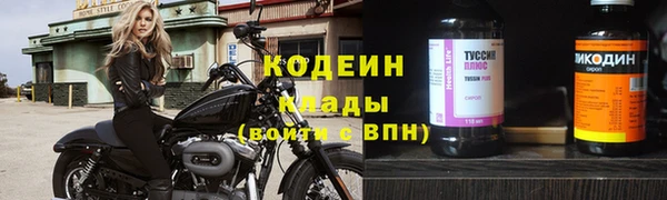 мдпв Киренск