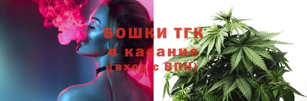 прущие грибы Кинешма