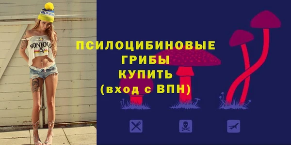 прущие грибы Кинешма