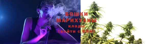 прущие грибы Кинешма