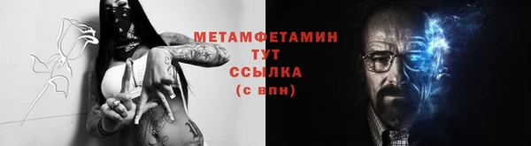 прущие грибы Кинешма
