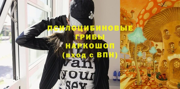ПСИЛОЦИБИНОВЫЕ ГРИБЫ Киреевск