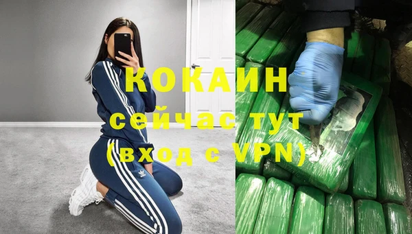 стаф Карпинск