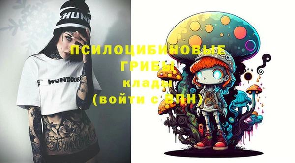 стаф Карпинск