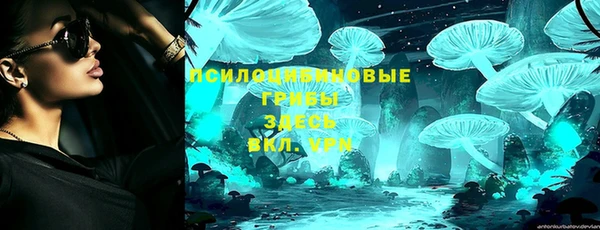 прущие грибы Кинешма