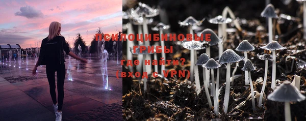 стаф Карпинск