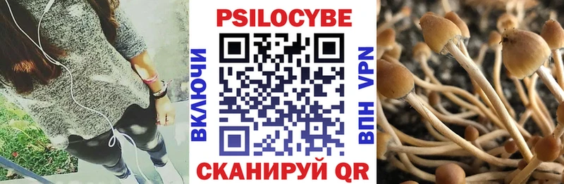 Псилоцибиновые грибы ЛСД Бугульма
