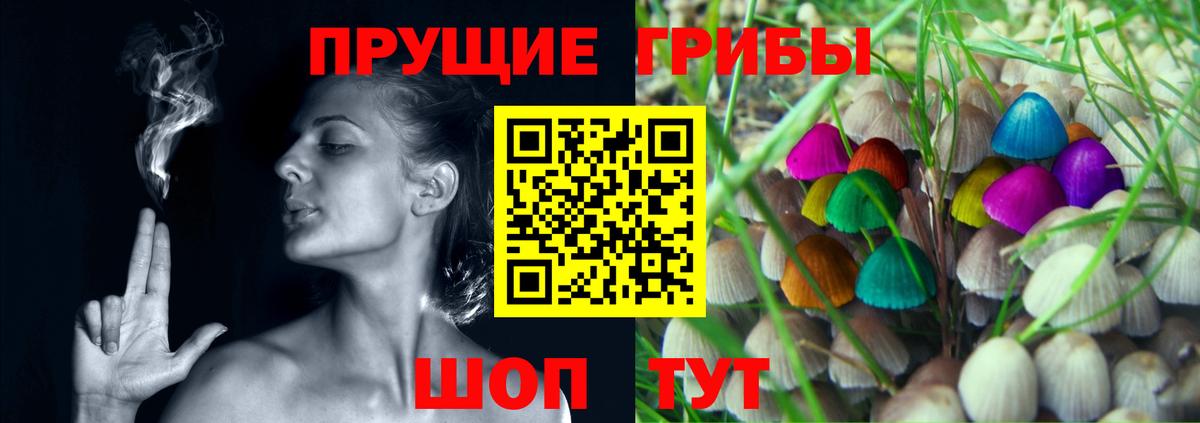 Бугульма  Псилоцибиновые грибы Psilocybe  Вход с VPN 